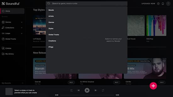 Soundful Tool Image 2