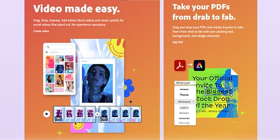 Adobe Express Tool Image 2